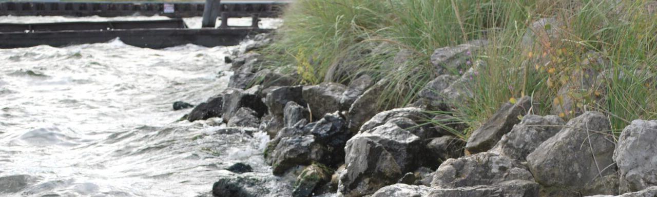 a shoreline with dune grass and rocks